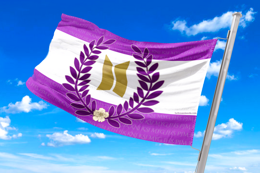 HAPPY ARMY INDEPENDENCE, wanna trade snacks??