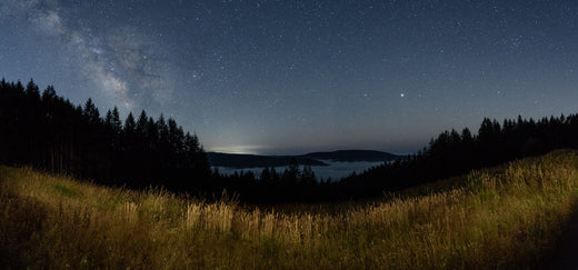 Midnight Melodies and the Starry Nights of Seesaw